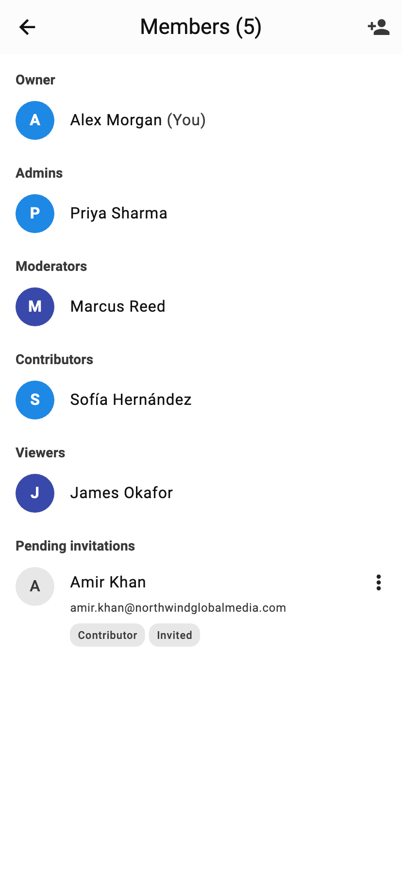 Workspace members grouped by role (owner, admins, moderators, contributors, viewers) with a pending invitation
